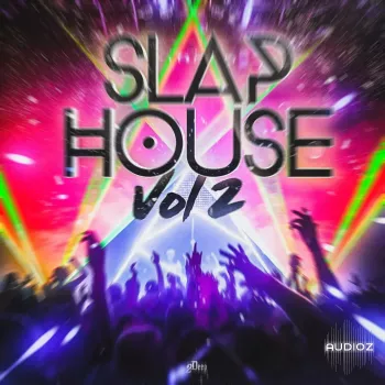 2Deep Beats Slap House Vol 2 WAV MiDi-FANTASTiC screenshot