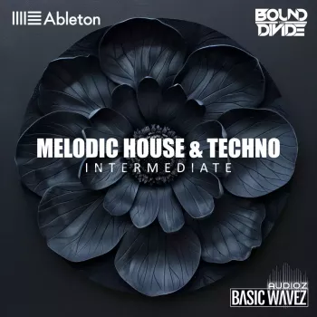 Basic Wavez (Intermediate) Write 2 Melodic House and Techno Tracks with Bound to Divide TUTORiAL-FANTASTiC  screenshot