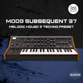 Audioreakt MOOG Subsequent 37 : Melodic House & Techno Presets screenshot