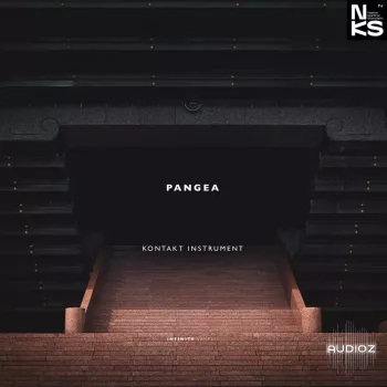 Infinite Samples Pangea v1.2.10 KONTAKT screenshot