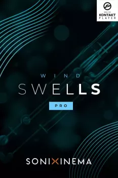 Sonixinema Wind Swells v1.0.2 KONTAKT screenshot