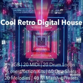 The Audio Bar Cool Retro Digital House WAV MiDi Ni Massive Presets-FANTASTiC screenshot