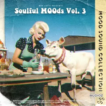 Moo Latte Soulful Moods Vol.3 (Compositions And Stems) WAV-FANTASTiC