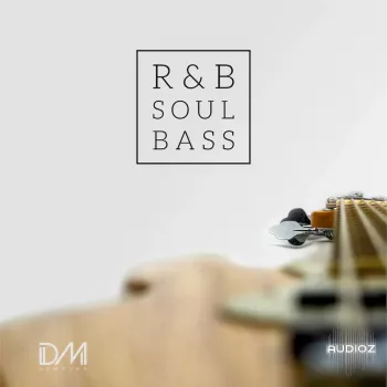 Dm Samples RnB Soul Bass WAV-FANTASTiC screenshot