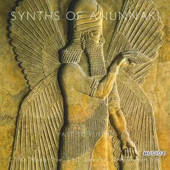 PastToFutureReverbs Synths Of Anunnaki For Kontakt! KONTAKT screenshot