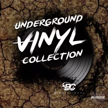 Big Citi Loops Underground Vinyl Collection WAV-FANTASTiC screenshot