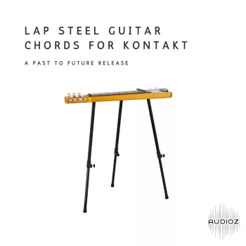 PastToFutureReverbs Lap Steel Guitar Chords For Kontakt! KONTAKT screenshot