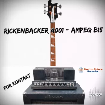 PastToFutureReverbs Rickenbacker 4001 Bass Through Ampeg B15 Amp For Kontakt! KONTAKT screenshot