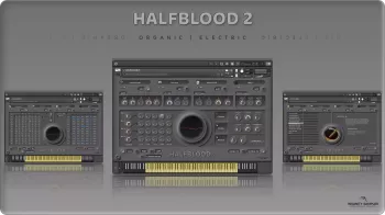 Insanity Samples HALFBLOOD 2 v1.5.0 KONTAKT