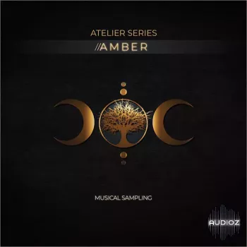 Musical Sampling Atelier Series Amber KONTAKT screenshot