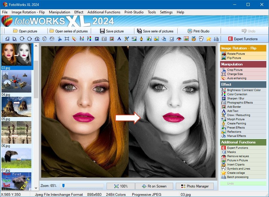 FotoWorks XL 2025 25.0.0 Multilingual