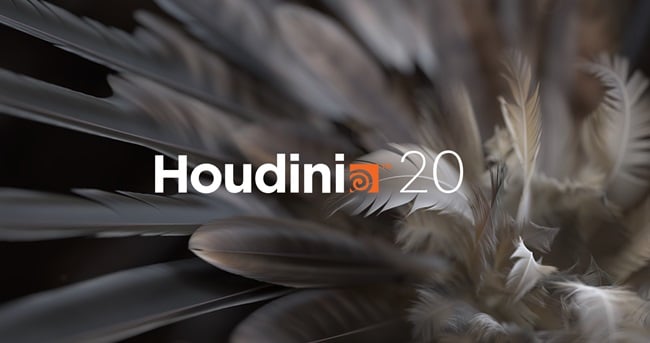 SideFX Houdini 20.5.278 x64 Win/Lnx