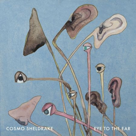 Cosmo Sheldrake – Eye To The Ear (2024)