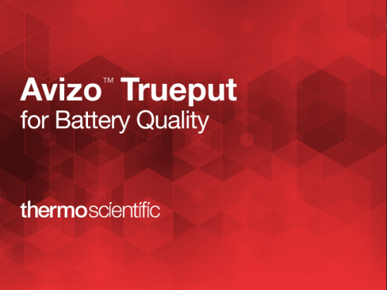 Avizo Trueput Software 2024.1 x64