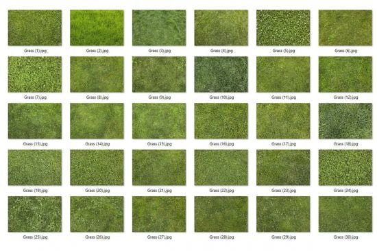 30 Grass Texture HQ - 279728282