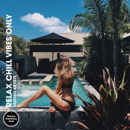 Various Artists – Relax Chill Vibes Only (2024)