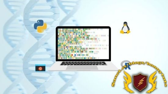 Bioinformatics Data Analysis Crash Course Python R and Linux