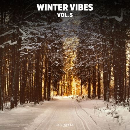 Various Artists – Winter Vibes, Vol 5 (2024)