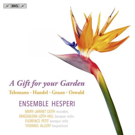 Ensemble Hesperi – A Gift for your Garden (2024)