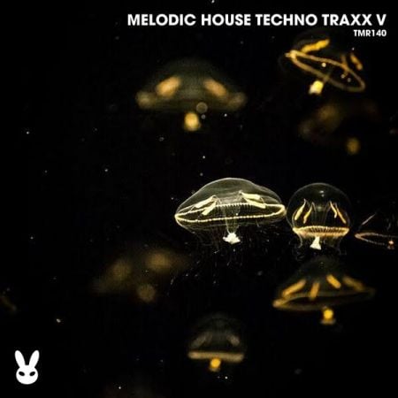 Various Artists – Melodic House Techno Traxx V (2024)