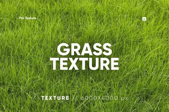 30 Grass Texture HQ - 279728282