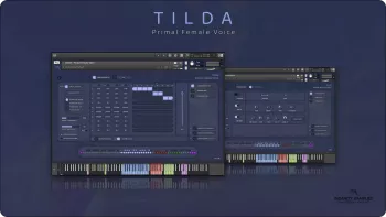 Insanity Samples Tilda v1.0.3 KONTAKT screenshot