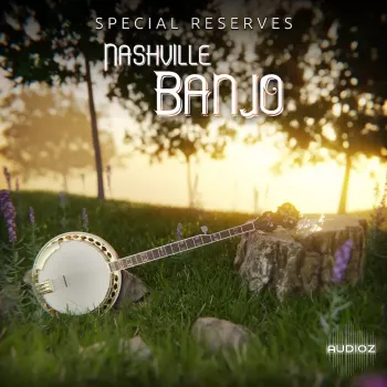 Impact Soundworks Special Reserves – Nashville Banjo KONTAKT