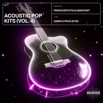 Producer Assistant Acoustic Pop Kits Vol.4 WAV MiDi screenshot