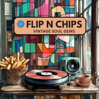 Soundsmiths Flip N Chips Vintage Soul Gems WAV-FANTASTiC screenshot