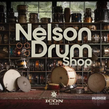 Drum Sample Shop Nelson Drum Shop DELUXE Sample Pack screenshot