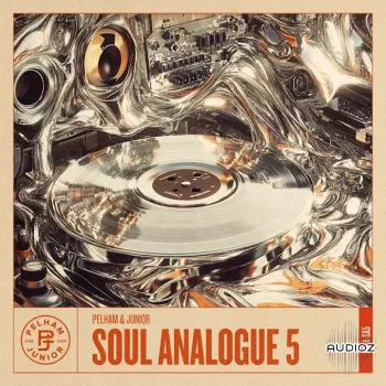 Pelham & Junior Soul Analogue 5 WAV-ARCADiA screenshot