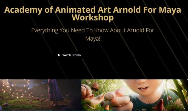 Academy of Animated Art – Arnold For Maya Workshop