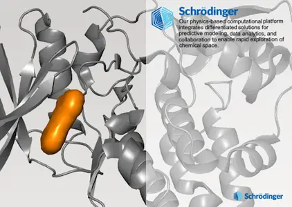 Schrodinger Suites 2025-1