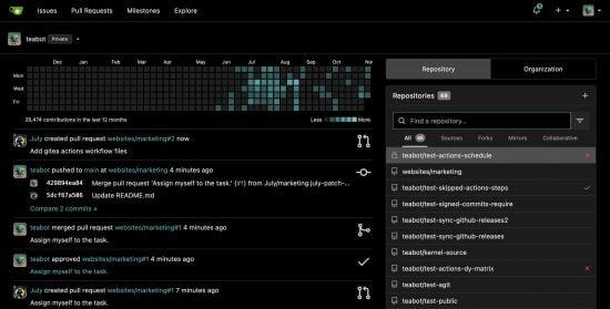 Gitea Enterprise 22.6.0 x64 Win/macOS/Linux