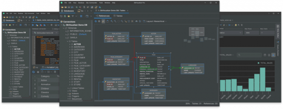 DbVisualizer Pro 24.3.3 x64