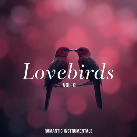 Various Artists – Lovebirds, Vol  8 (Romantic Instrumentals) (2024)