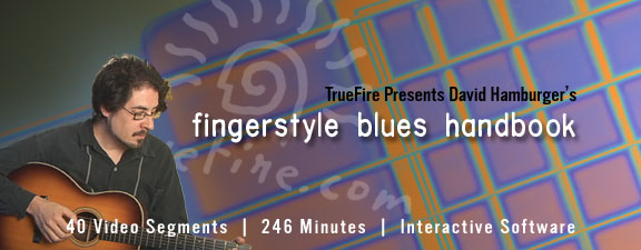 Truefire - David Hamburger's Fingerstyle Blues Handbook (Volume 1)