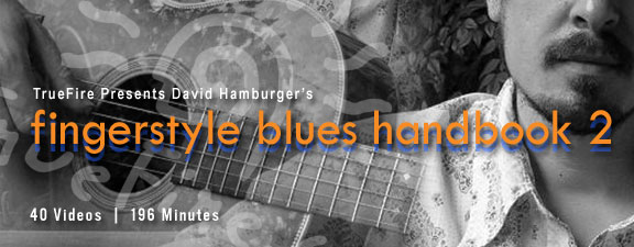 Truefire - David Hamburger's Fingerstyle Blues Handbook (Volume 2)