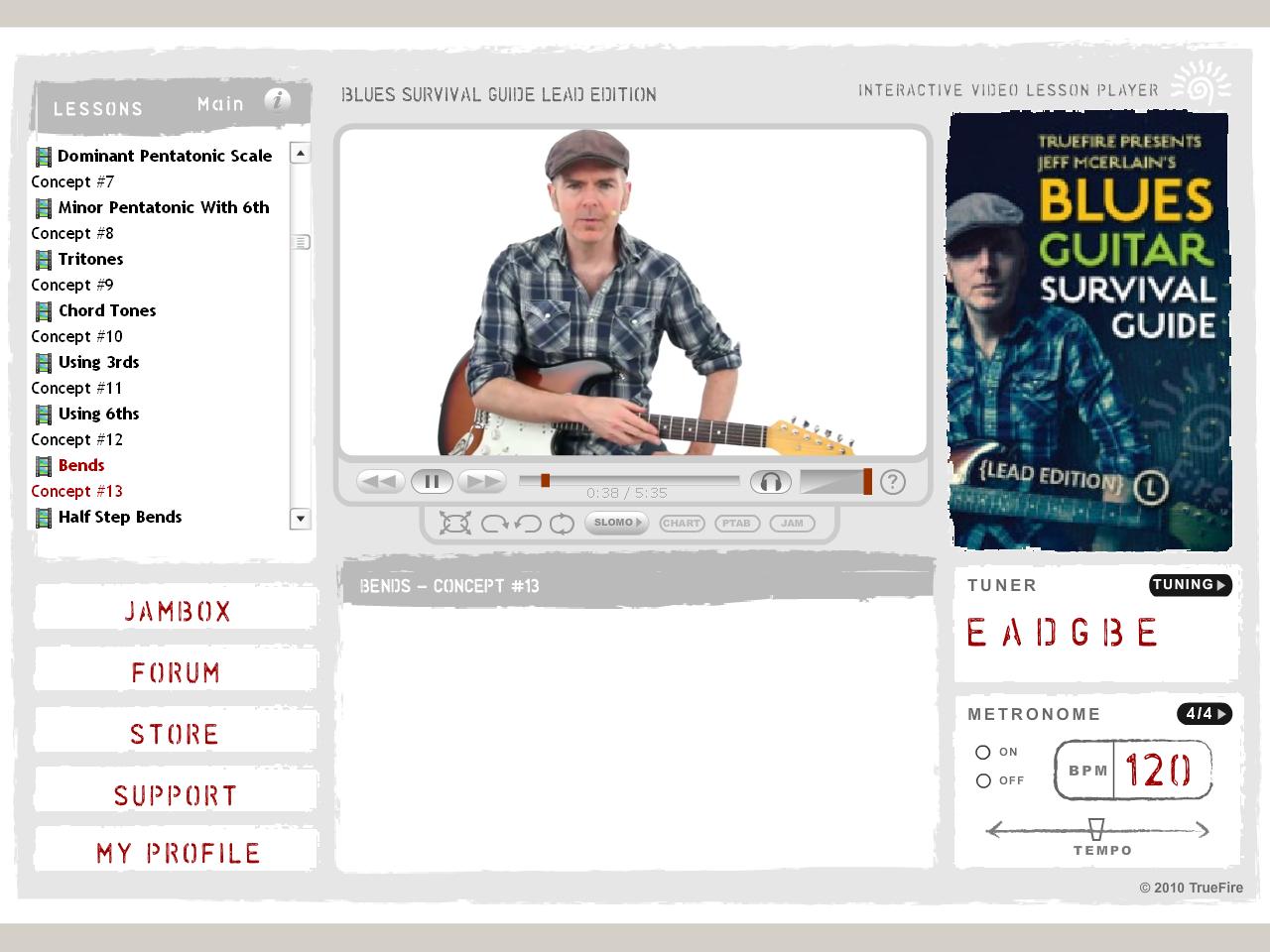 Truefire - Jeff MceErlain's Blues Guitar Survival Guide: Lead Edition(2013)