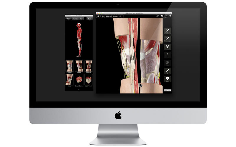 Knee Pro III with Animations v3.2.2 Mac OS X