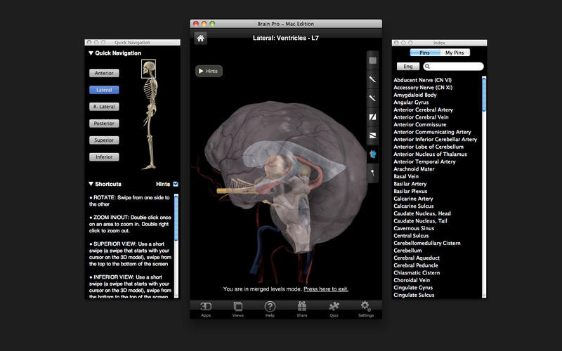 Brain Pro v1.0 Mac OS X