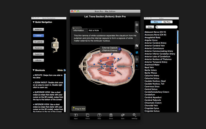 Brain Pro v1.0 Mac OS X