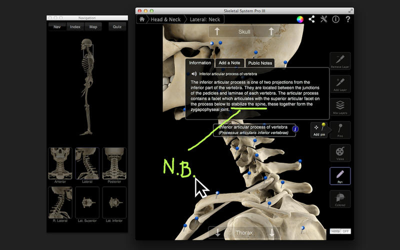 Skeletal System Pro III v3.0 Mac OS X