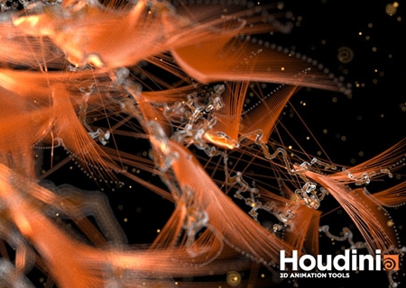 SideFX Houdini 13.0.198.21 (64bit)