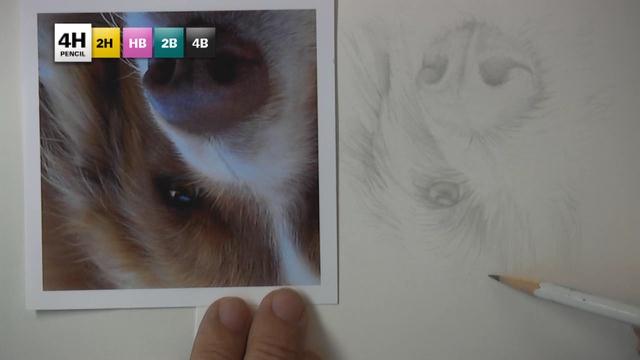 5 Pencil Methos - DRAWING STUDY NO.4: DOG