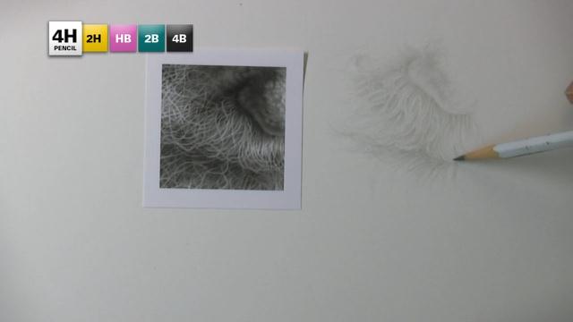 5 Pencil method - DRAWING STUDY NO.8: White Beard