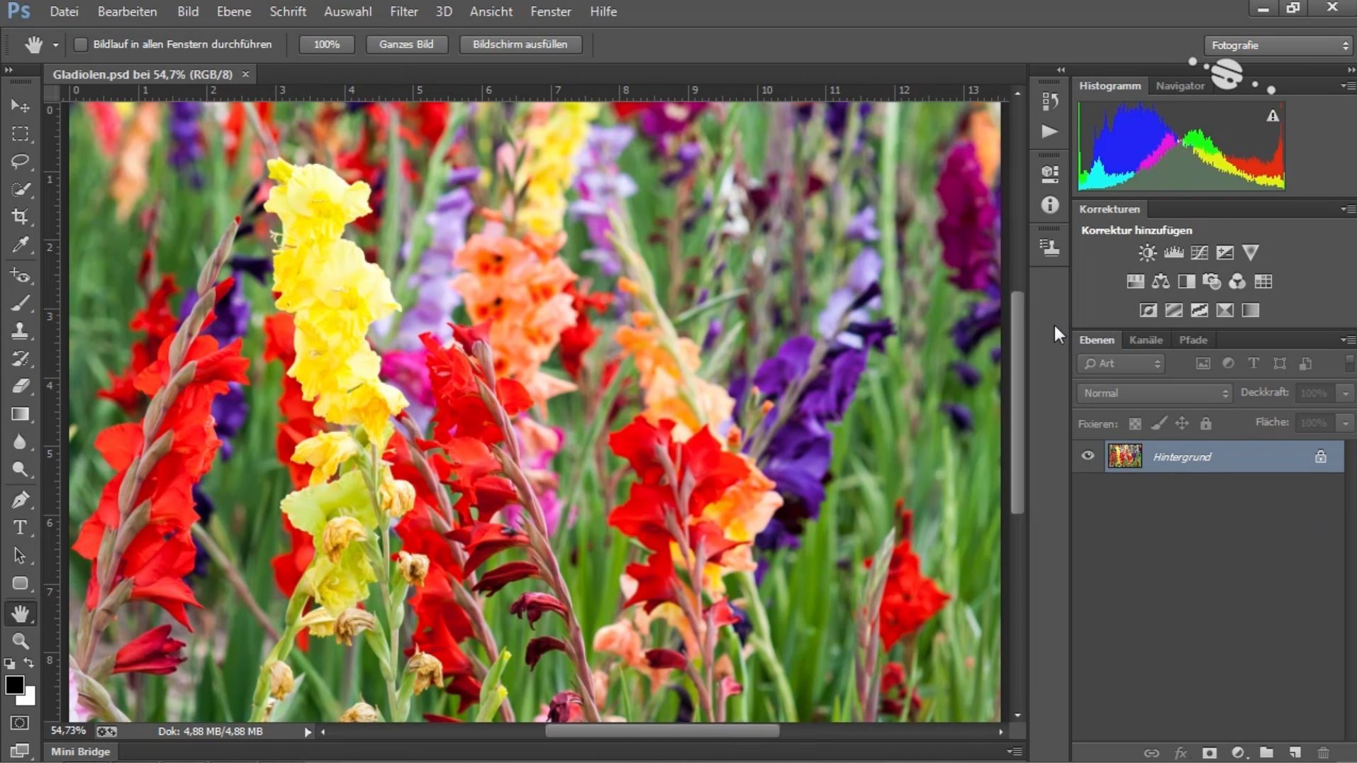 Adobe Photoshop CC - Die Grundlagen (repost)