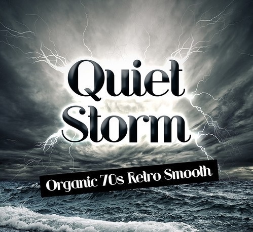 Big Fish Audio - Track Star Quiet Storm KONTAKT