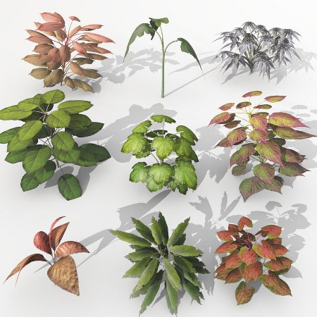 Dream Land Models 108 Plant set 1-3 for Vue - Vuegen