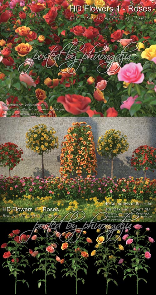 3DMentor HD Flowers 1: ROSES - FULL MAX format